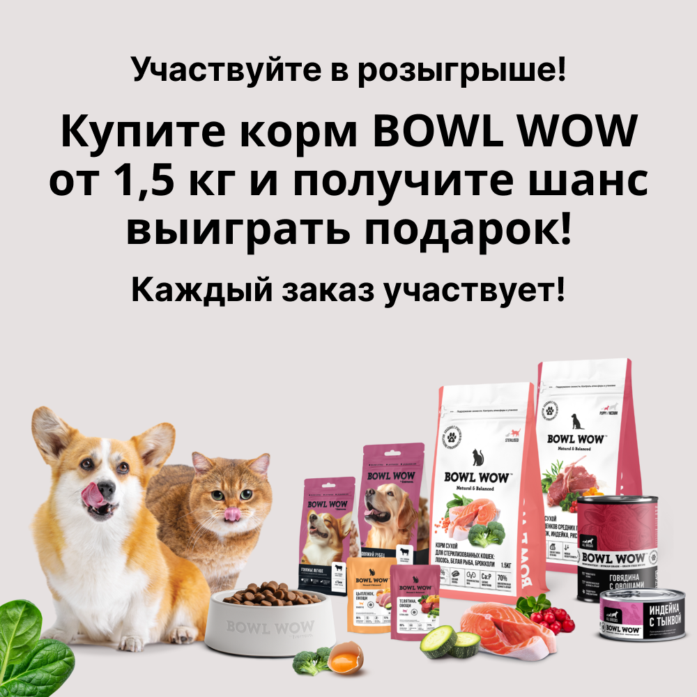 Розыгрыш корма BOWL WOW — выиграй лизательный коврик для питомца