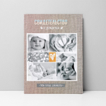 3511757 Папка для свидетельства о рождении «Мои первые документы», А4