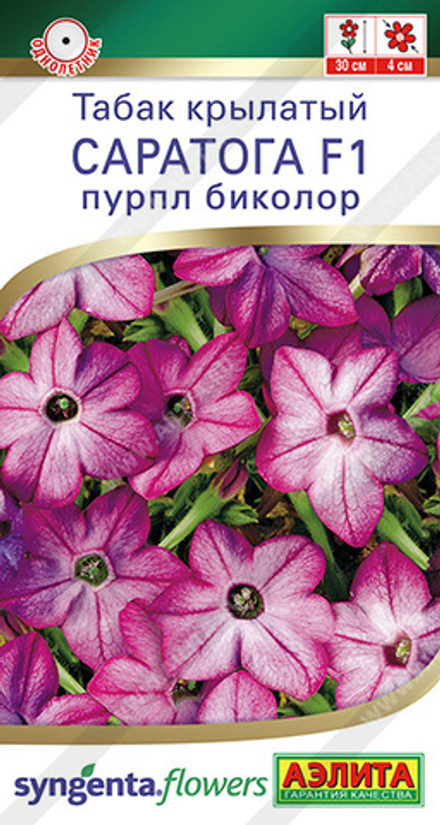 Табак Саратога F1 пурпл биколор крылатый 5шт Аэлита