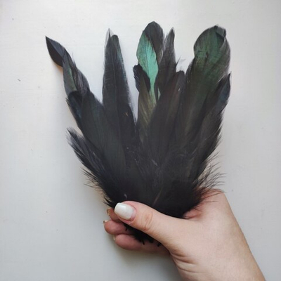 Перья петуха черные двухцветные 2 сорт 20 шт.