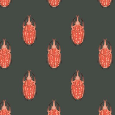 красные жуки