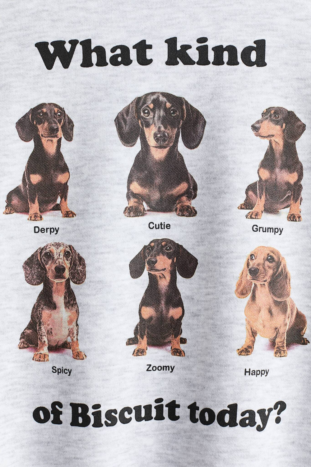 H&M Толстовка с принтом, светло-серый меланж