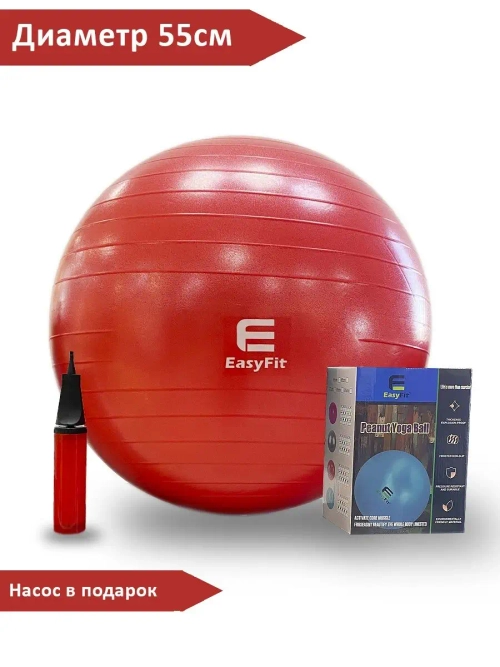 Фитбол EasyFit 55см