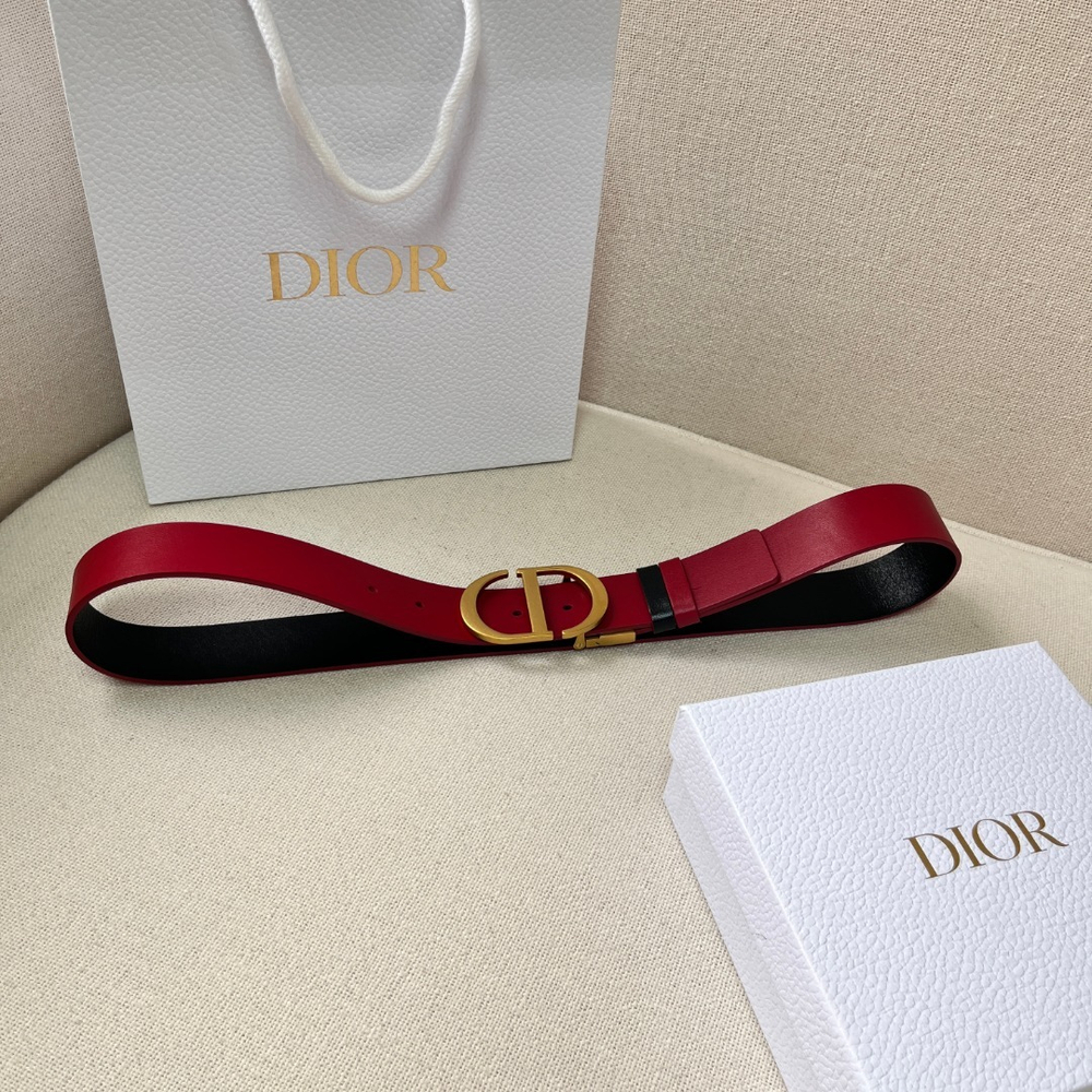 Christian Dior Belt