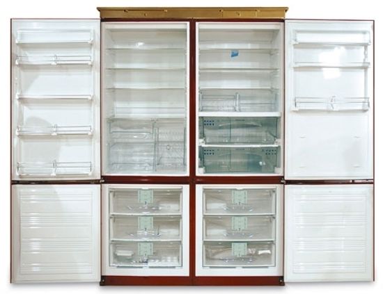 Холодильник Renova FRR022