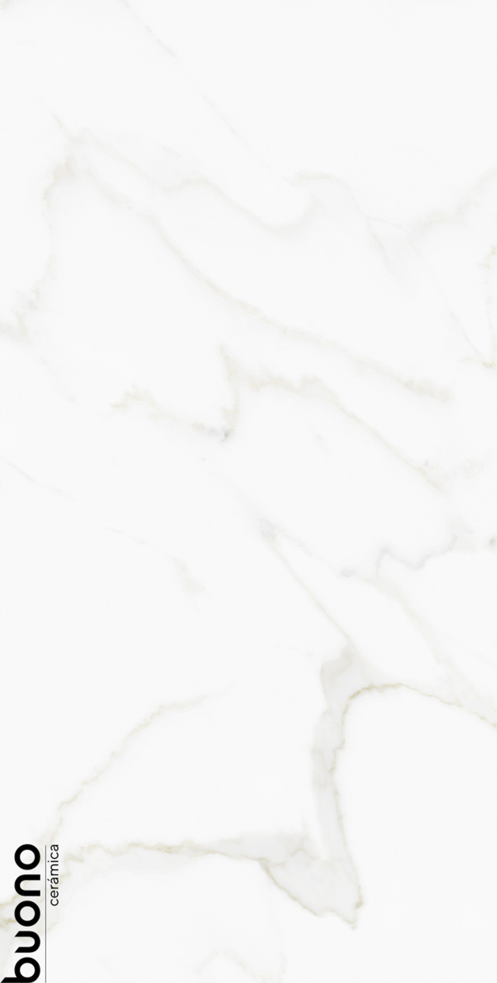 Керамогранит Buono Ceramica M4408P 1200*600*8,5мм  Omega Exotica Glossy
