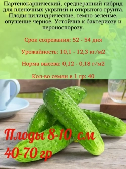 Семена Огурец Черномор F1 Самоопыляемый среднеранний 2гр