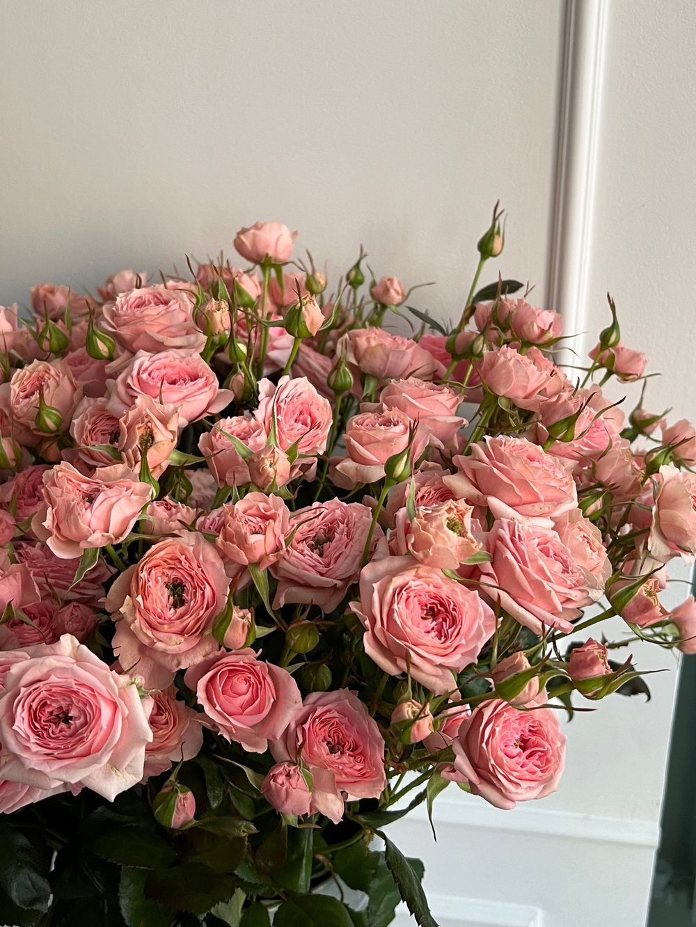 Пионовидная кустовая роза в персиковом оттенке