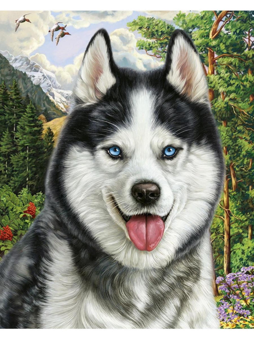 Картина по номерам 40х50см "Хаски в горах" (Арт. ХК-6875)