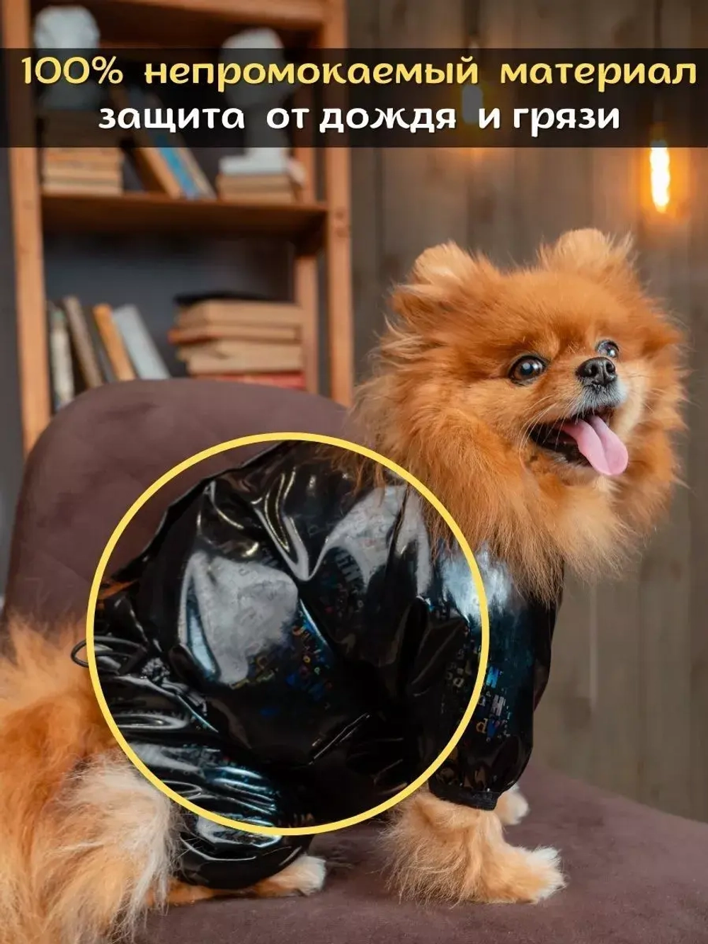 Комбинезон для мелких и средних собак