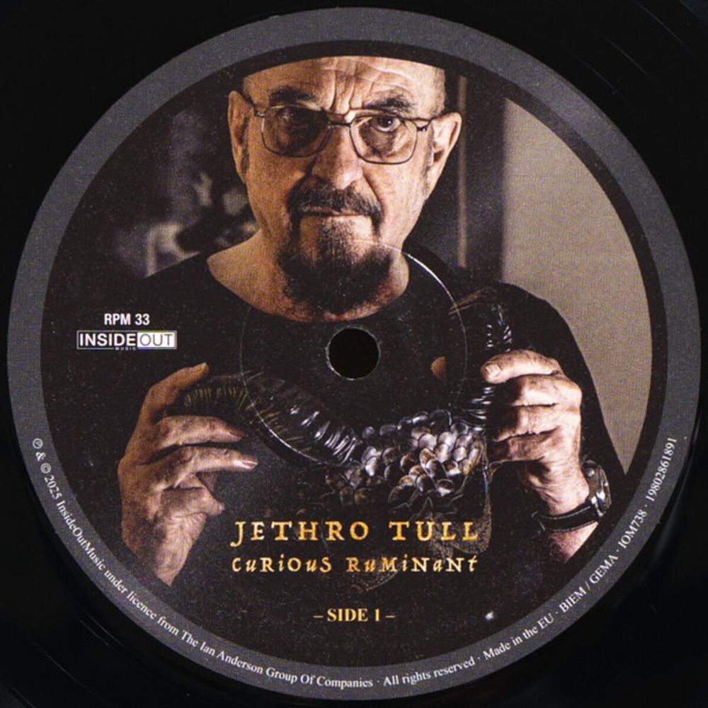 Jethro Tull. Curious Ruminant (LP) 2025 Новая запечатанная виниловая пластинка
