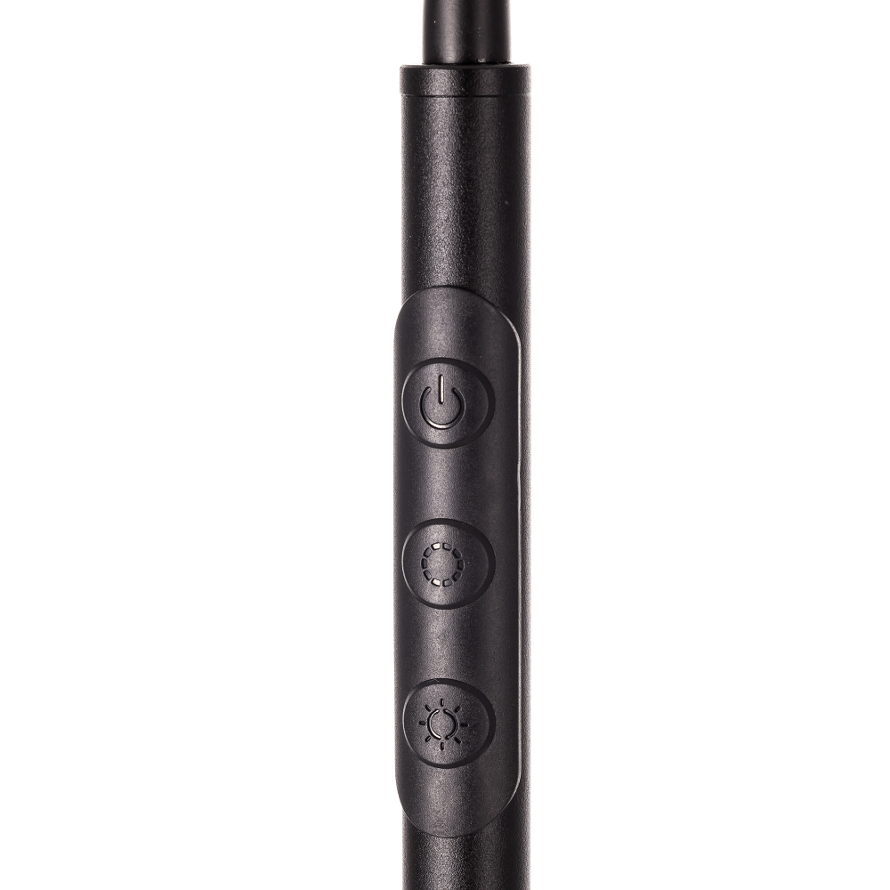 Citilux Alex CL804051 Торшер с пультом Чёрный