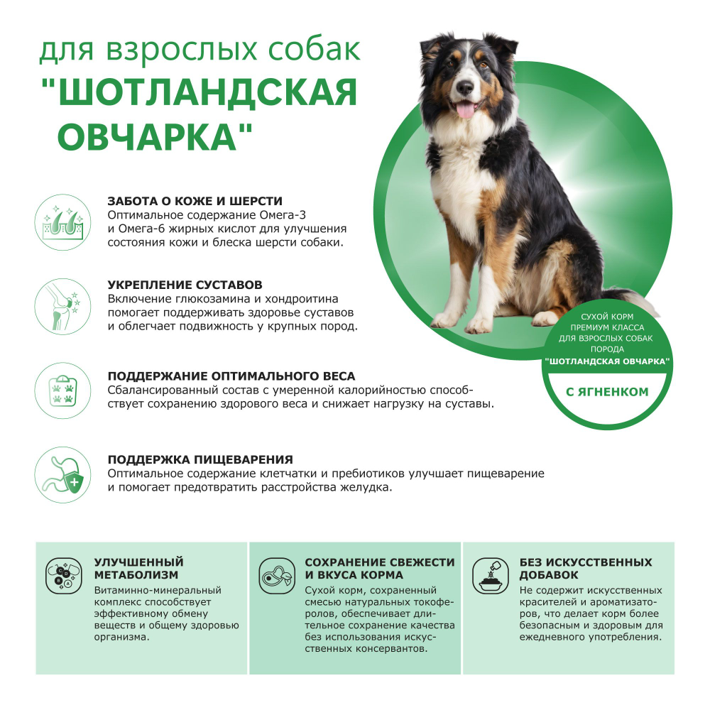 Корм сухой для взрослых собак породы Шотландская овчарка, с ягненком, 2.5 кг, QUATTRO