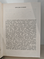 Дневник Микеланджело Неистового