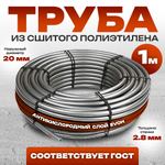 VP89-100_01