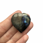 Сердце лабрадор, 1 шт (10-15 гр)
