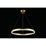 Подвесная светодиодная люстра Aployt Armel APL.049.13.40