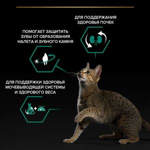 Сухой корм Pro Plan RENAL PLUS для взрослых стерилизованных кошек, с высоким содержанием лосося