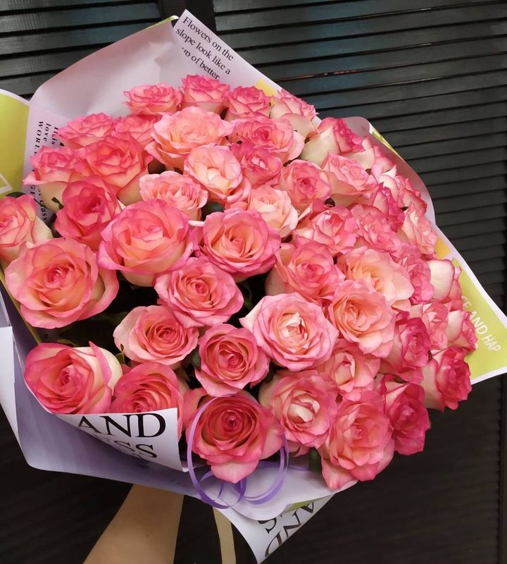 Букет из 51 голландской розы 60 см в упаковке ( цвет роз на выбор ) #18773