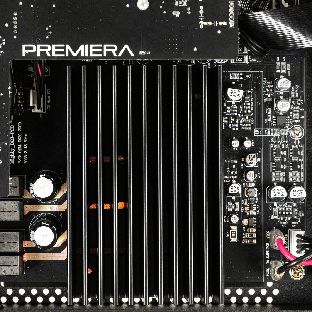 Premiera D2S — интегральный стереоусилитель класса D с сетевым проигрывателем