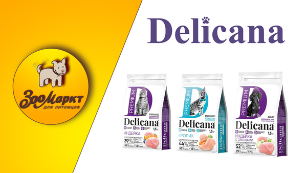 Акция корма для кошек и собак Delicana