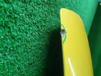 Капот Porsche 911 8 992 (2018-н.в.) (В пленке)