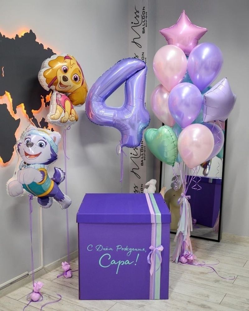 Коробка с шарами Скай и Эверест Щенячий патруль