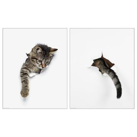 IKEA BILD  (ИКЕА БИЛД)  -  Плакат, внешний вид кошки, 40x50 см