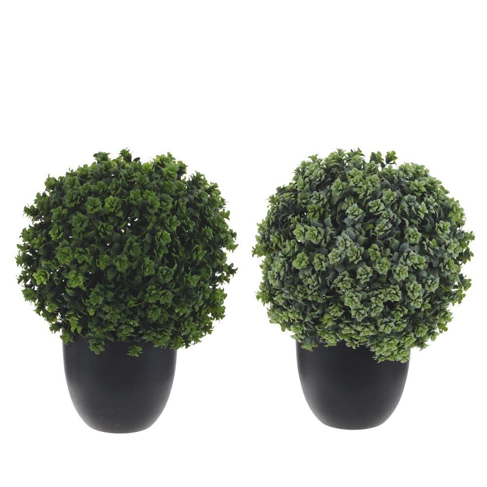 GAEM Цветочная композиция "Самшит", L19 W19 H27 см, 2в.