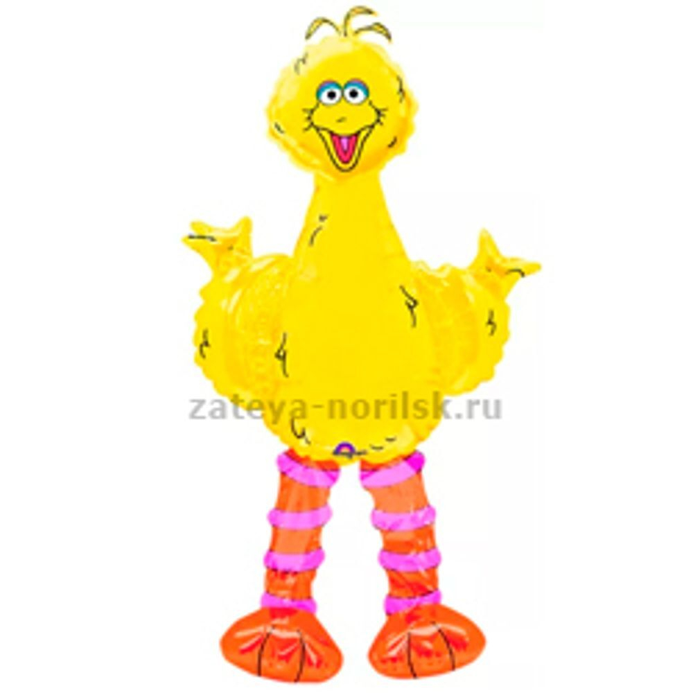 А ХОД/P80 Птица большая