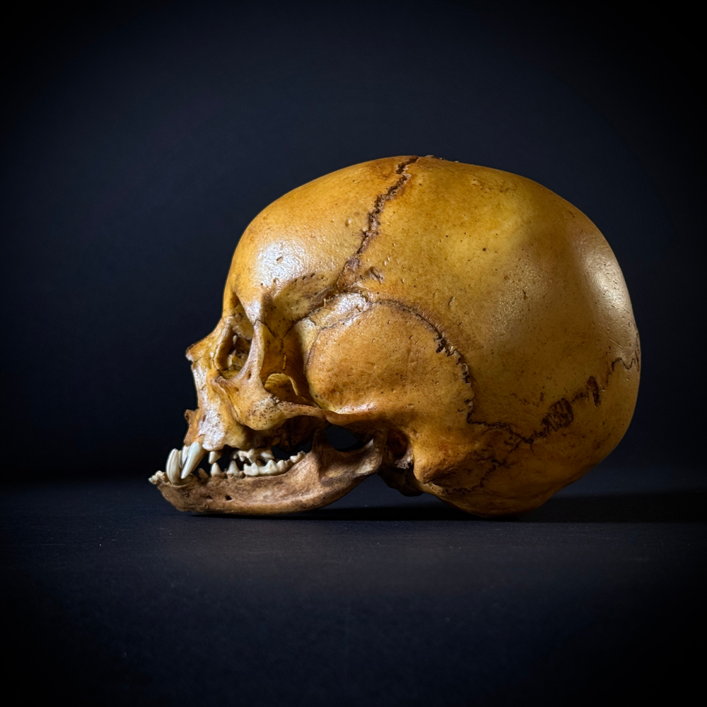 Маленький монстр