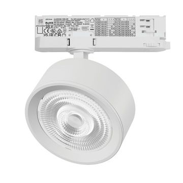 Светильник для трековой системы Quattro LED 60G с адаптером 30W 4000K A5646QT60G белый Alta Pro Lightstar