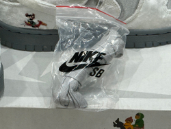 Nike Dunk Low ICE