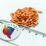 Барвина F1 семена огурца партенокарпического (Nunhems / ALEXAGRO) семена