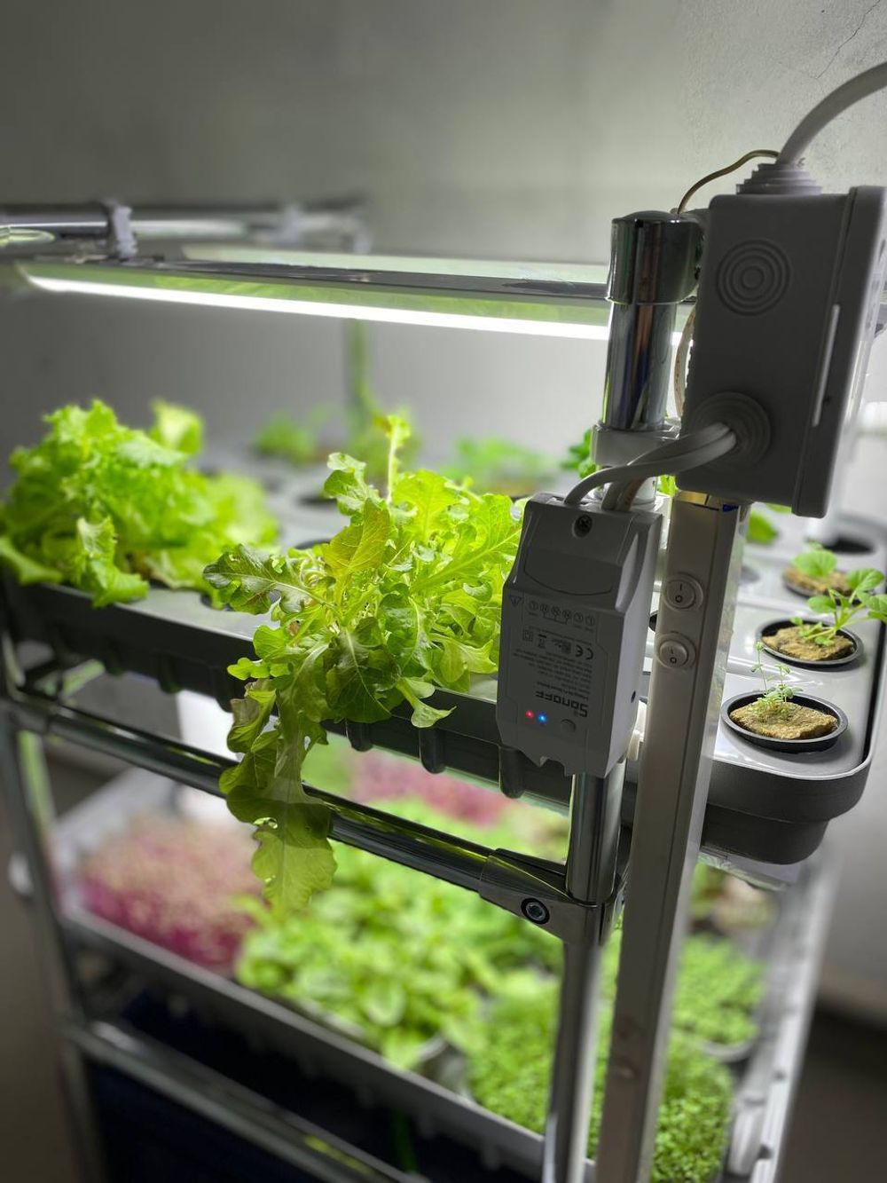 Домашняя гидропонная установка HydroBoss5.0 Mini