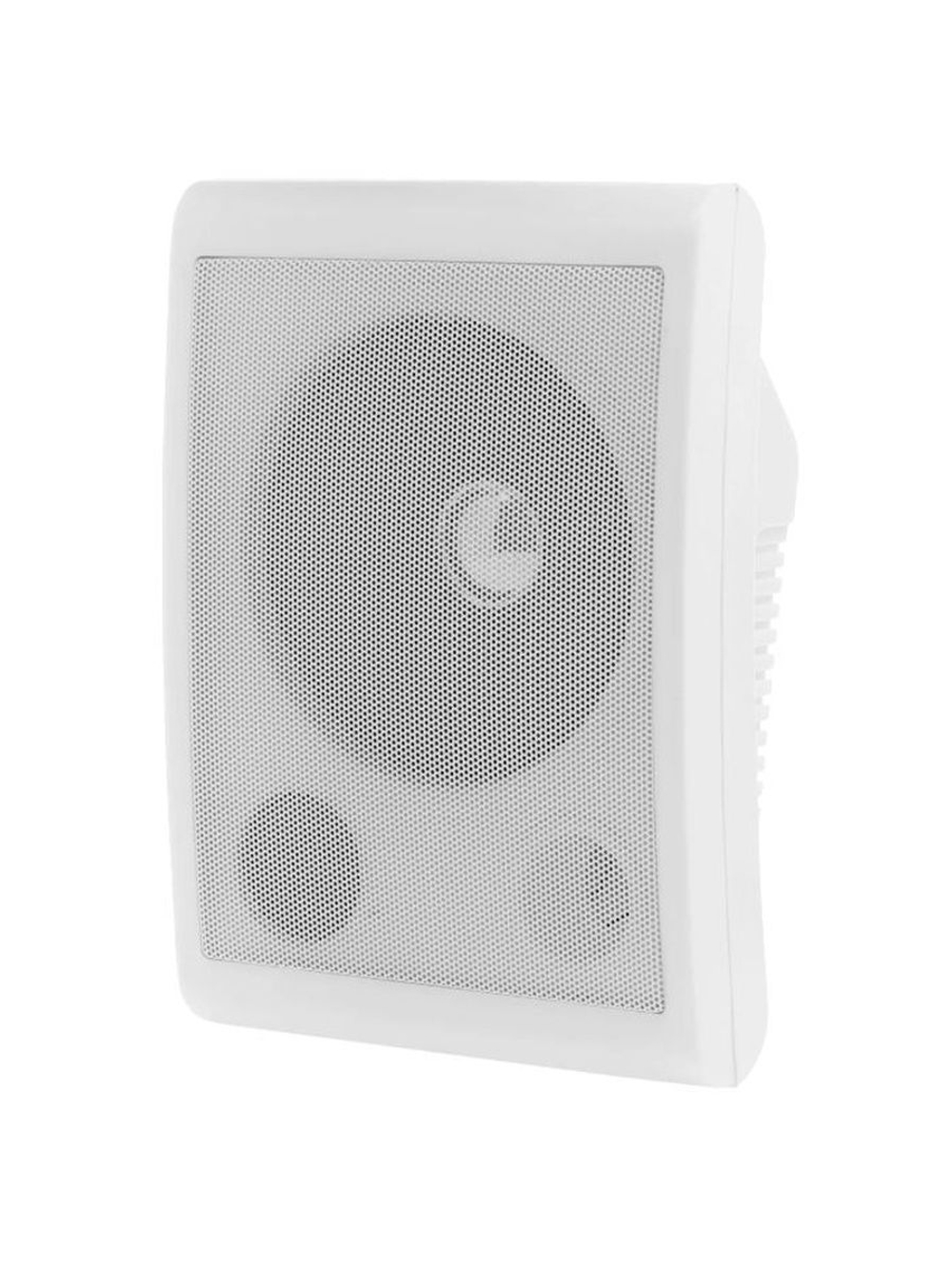 Громкоговоритель TSo-SW6a