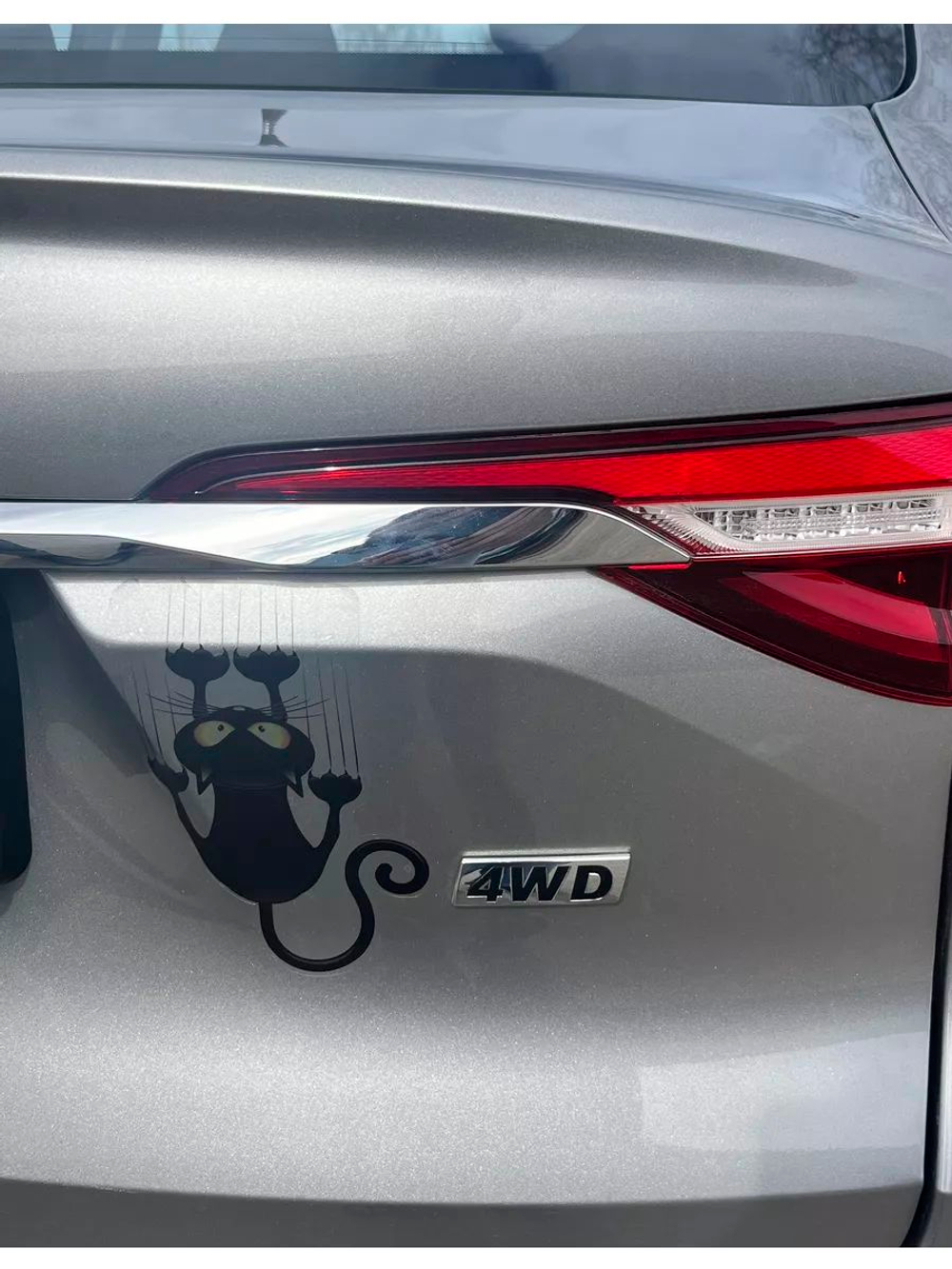 Наклейка на авто надпись с котом