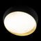 Потолочный светодиодный светильник Loft IT Coin 10199 Black