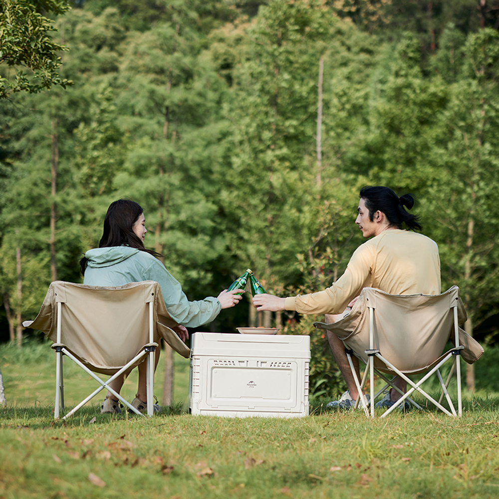 Кресло туристическое Naturehike Stellaluna T01 складное, 80х53х66 см, до 110 кг, бежевое, артикул CNH23JU13002-RSC
