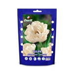 ЛУКОВИЦЫ ТЮЛЬПАН МАХРОВЫЙ АВАНТ ГАРД/AVANT GARDE 12/14, DARIT 5 ШТ/УП