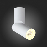 ST107.502.10 Светильник потолочный Белый LED 1*10W 3000K 780Lm Ra&gt;80  D50xH168 170-240V Накладные светильники