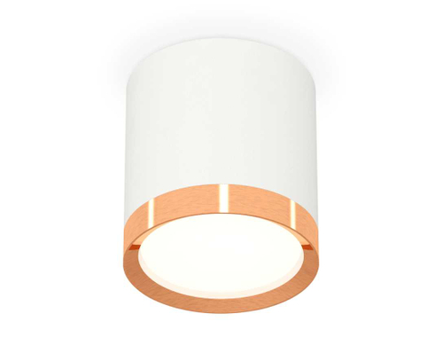 Комплект накладного светильника Ambrella light Techno Spot XS (C8141, N8126) XS8141005