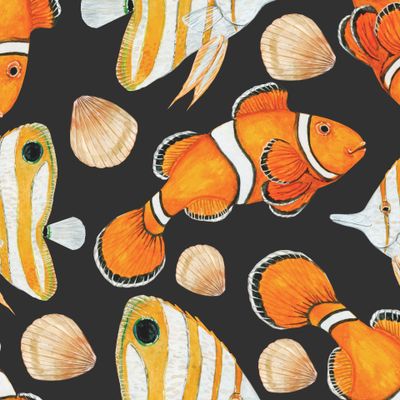 В поисках Немо на темном