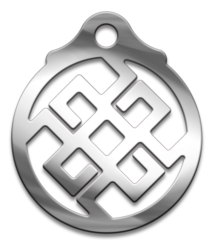 Амулет Славянский № 57 Светило, медицинская сталь