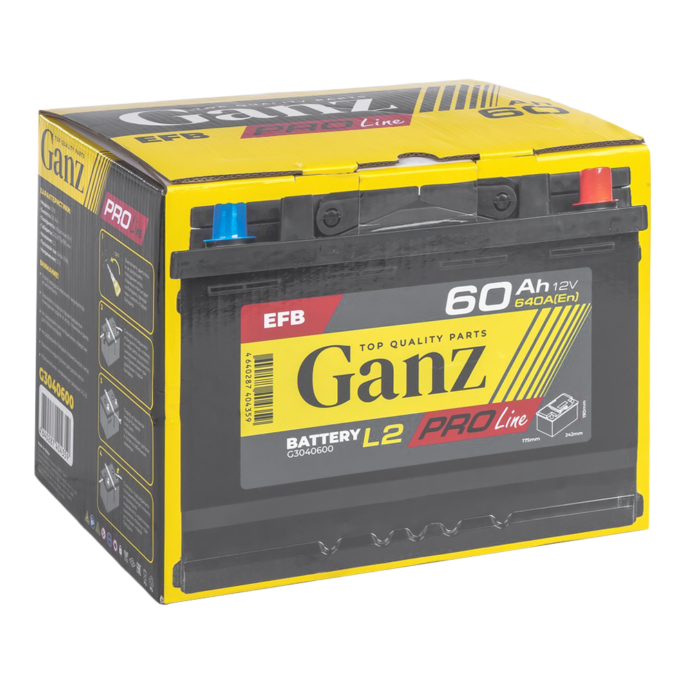 Аккумулятор GANZ PRO-Line EFB 60 А/ч обратный R+ 242x175x190 L2 EN 640 А