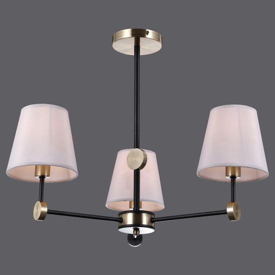 IL0394-3CSQ-24 BK AB CASTOR светильник потолочный