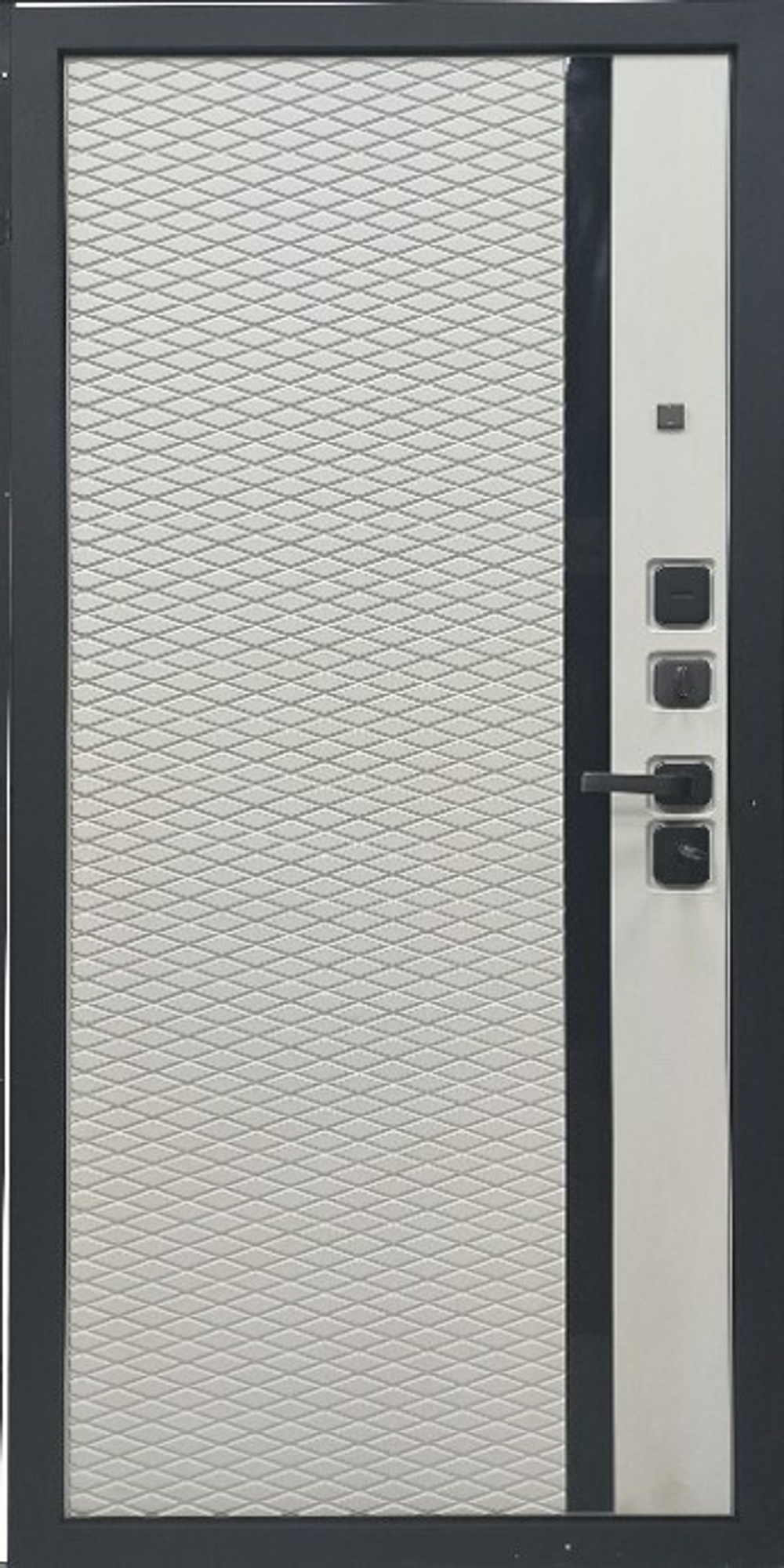 Дверь входная STR-60