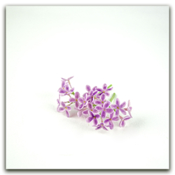 Цветы сирени 7 в 1