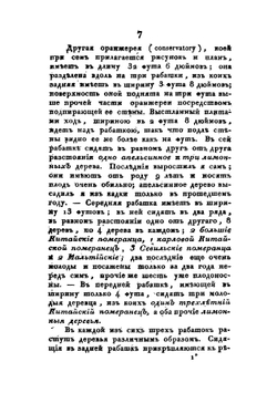 Подробное описание  новой методы содержания  померанцевых дерев | П. Шварц
