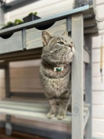 Стол садовый стеллаж для рассады цветов напольный